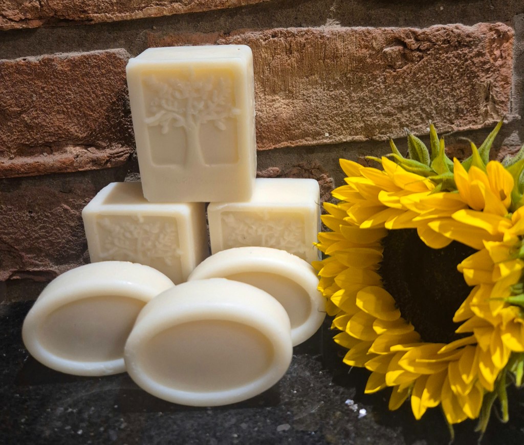 Cream rectangular and oval tallow soaps beside a sunflower